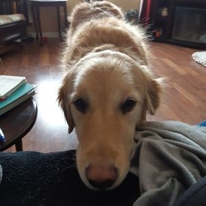 Meet your Posher, Jaime